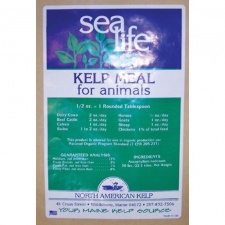 Wholesale USDA Kelp Meal